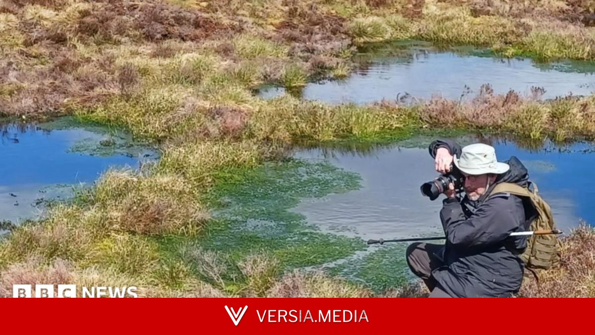 Scientist dubbed The Bogfather is restoring peatland to fight climate change