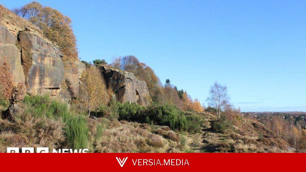 More trees and nature spaces in council green plan