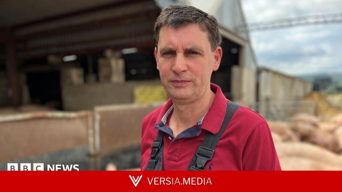 Struggling pig farmers say £2m support package 'not enough'