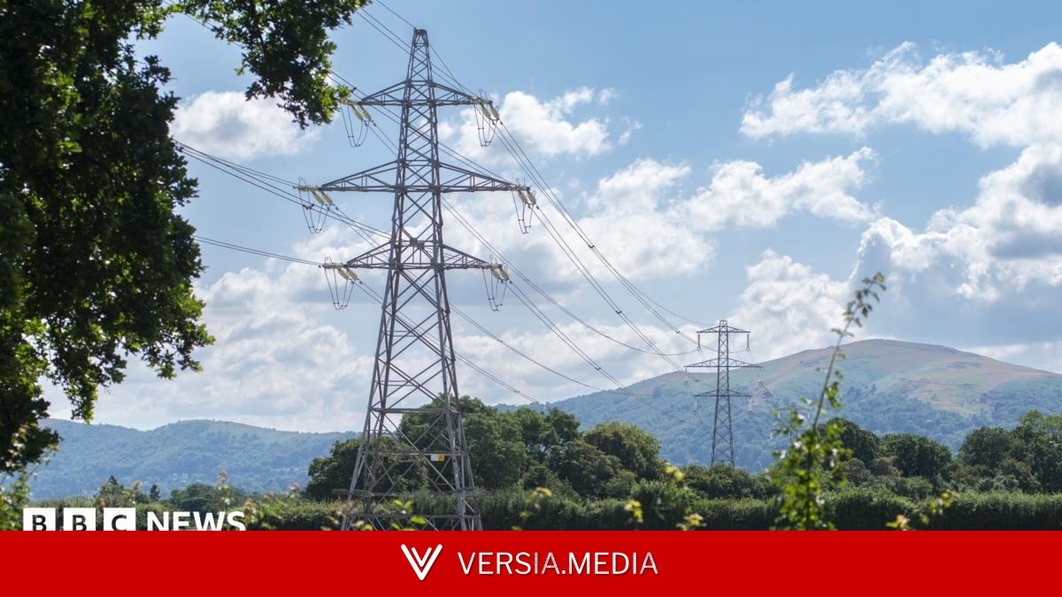 Farmers 'vindicated' after judge's ruling on pylon firm accessing land