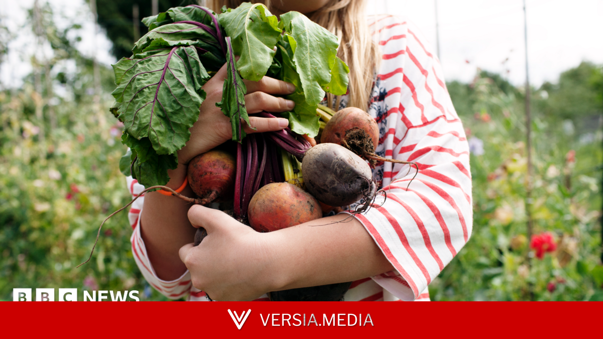 Call for right to grow food on unused public land