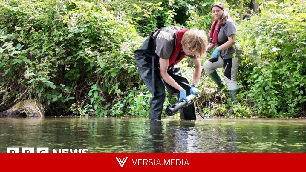Real-time monitoring to protect chalk stream