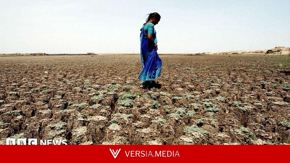 Farming worries after India records driest June in over a decade