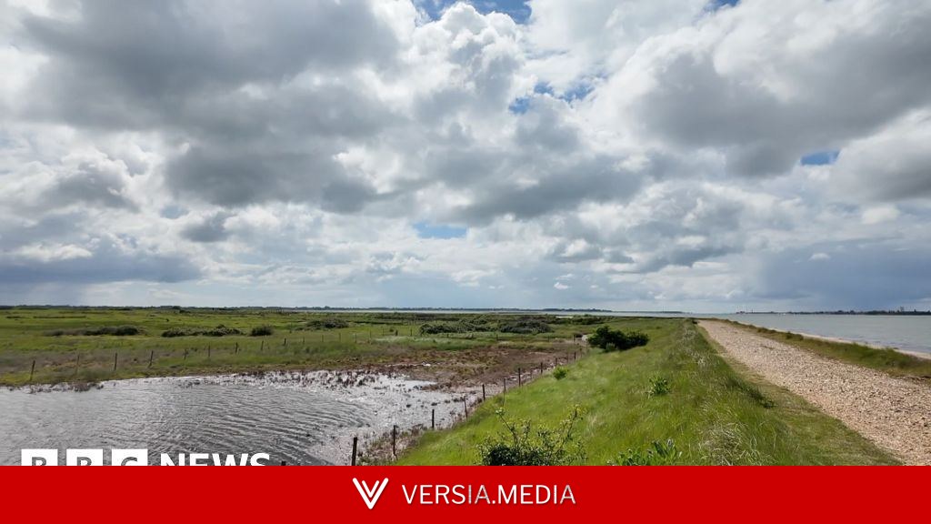 Failing sea defences 'disaster' for nature reserve