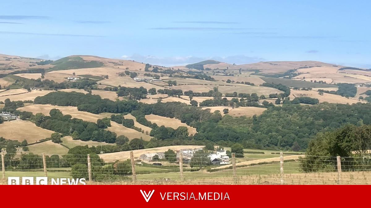 Wildfires and record dry conditions trigger drought in parts of Wales