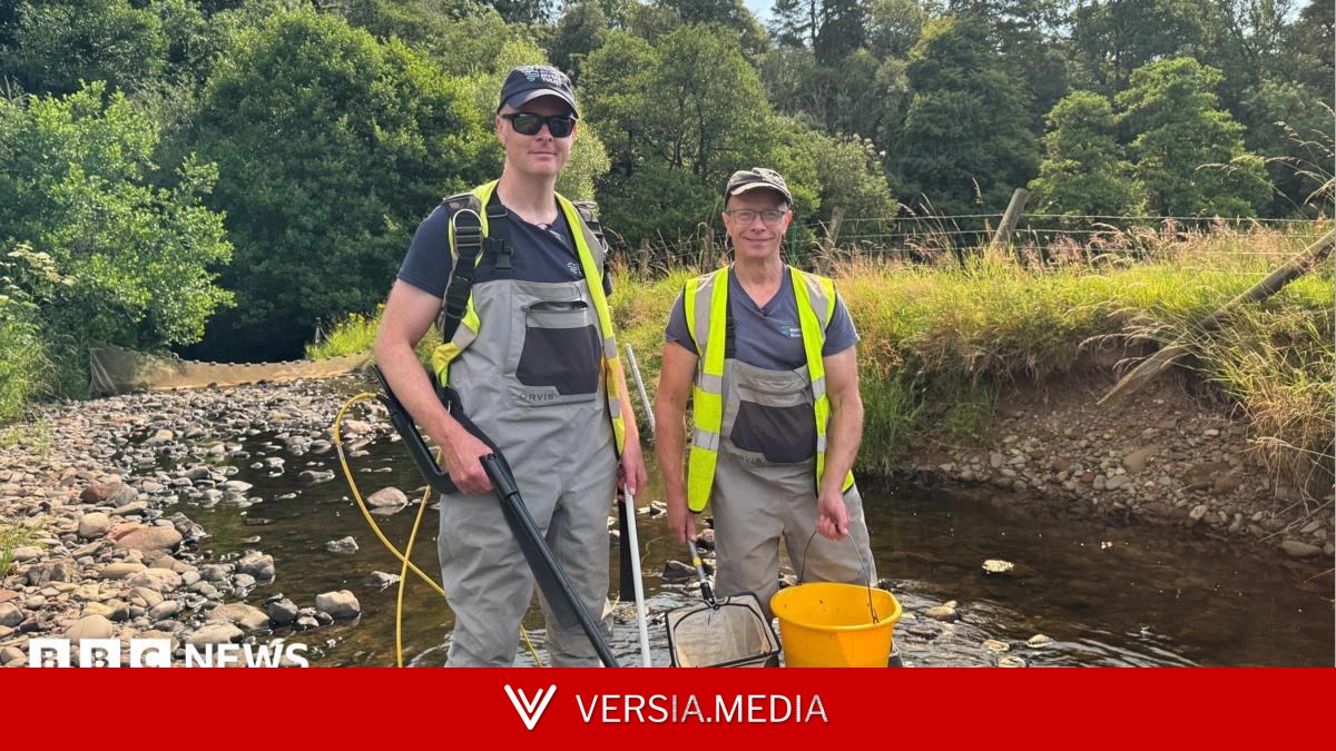 River work to help critically endangered eels