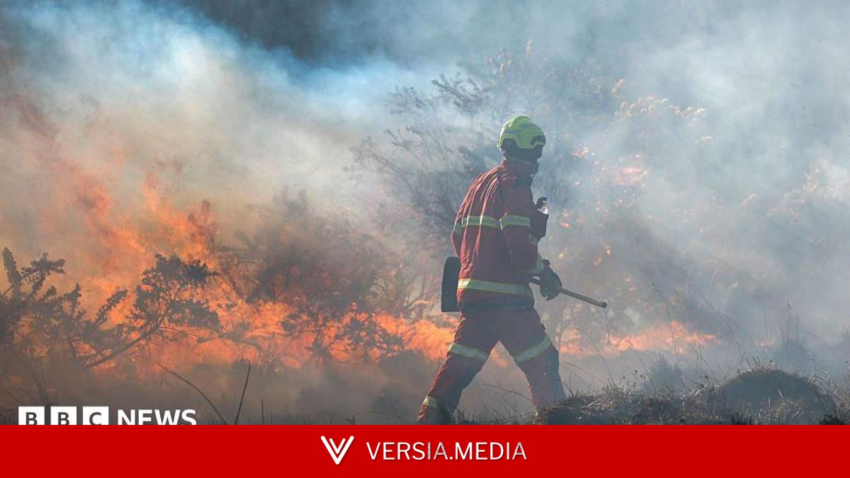 Scots urged to 'stay vigilant' as wildfire risk very high