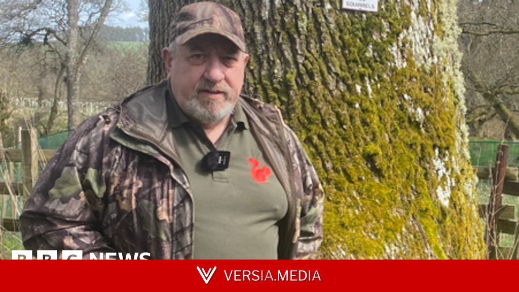 Remote volunteers use CCTV to save red squirrels