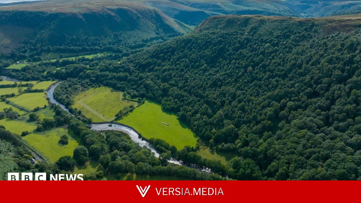 RSPB buys 'magical' 96-hectare landscape to reconnect habitats